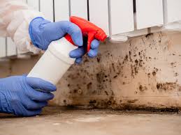 Trusted The Village Of Indian Hill, OH Mold Inspection Experts